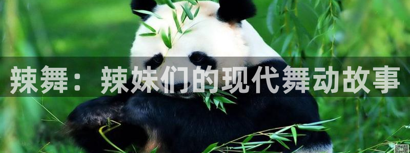 深夜羞羞影院：辣舞：辣妹们的现代舞动故事