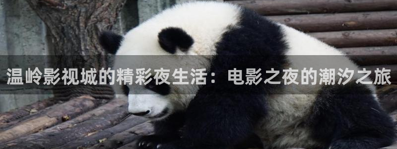 午夜羞羞影院：温岭影视城的精彩夜生活：电影之夜的潮汐之旅