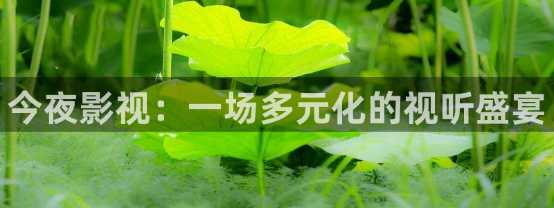 羞羞影院在线免费观看：今夜影视：一场多元化的视听盛宴