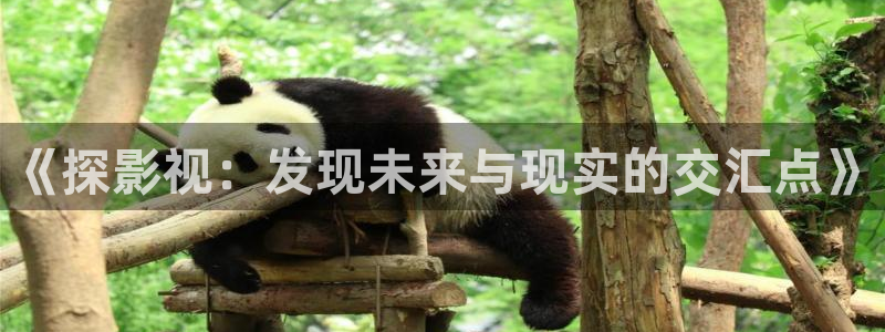 羞羞影院久久：《探影视：发现未来与现实的交汇点》