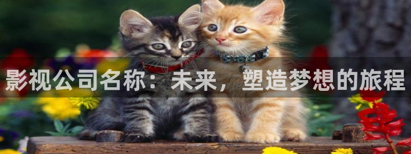 羞羞影院免费在线看：影视公司名称：未来，塑造梦想的旅程