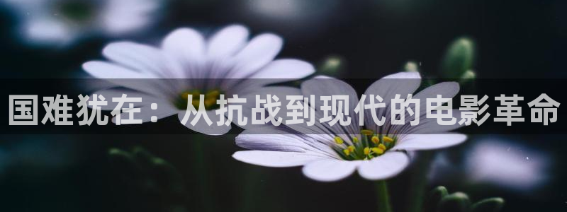 羞羞影院网址：国难犹在：从抗战到现代的电影革命
