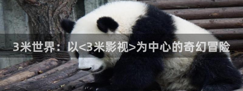 亚洲羞羞影院：3米世界：以<3米影视>为中心的奇幻冒险